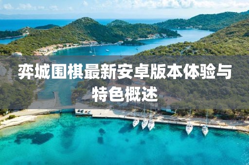 弈城围棋最新安卓版本体验与特色概述
