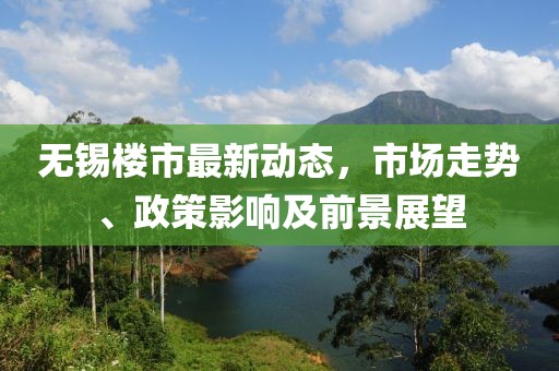 无锡楼市最新动态，市场走势、政策影响及前景展望