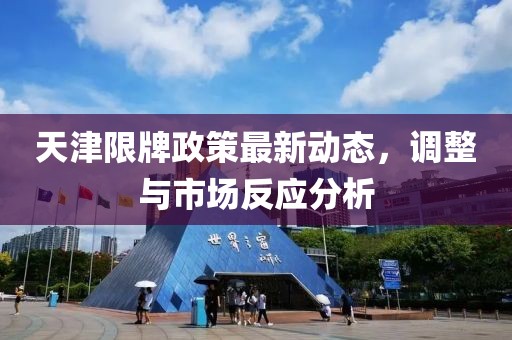 天津限牌政策最新动态，调整与市场反应分析