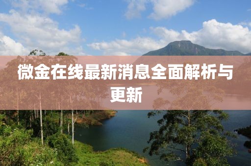 微金在线最新消息全面解析与更新