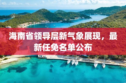 海南省领导层新气象展现，最新任免名单公布