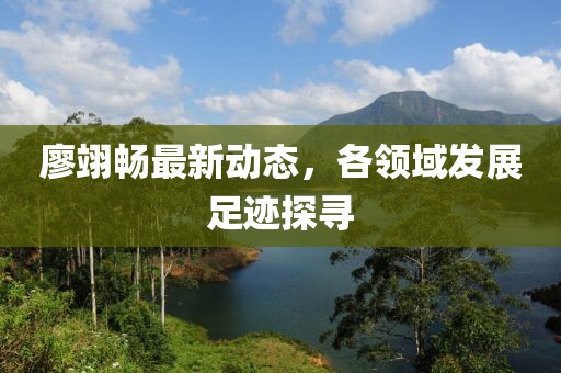 廖翊畅最新动态，各领域发展足迹探寻