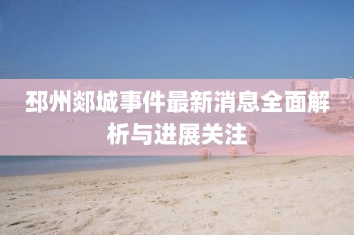 邳州郯城事件最新消息全面解析与进展关注