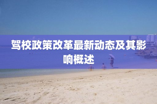 驾校政策改革最新动态及其影响概述