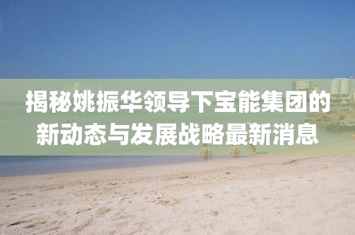 揭秘姚振华领导下宝能集团的新动态与发展战略最新消息