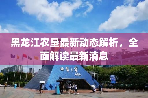 黑龙江农垦最新动态解析，全面解读最新消息