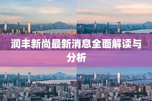润丰新尚最新消息全面解读与分析