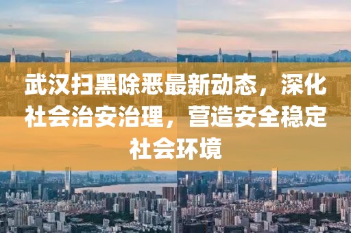武汉扫黑除恶最新动态，深化社会治安治理，营造安全稳定社会环境