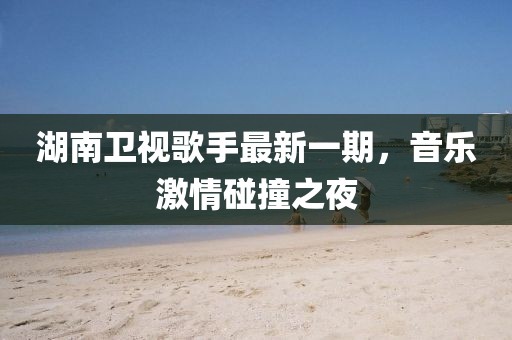湖南卫视歌手最新一期，音乐激情碰撞之夜