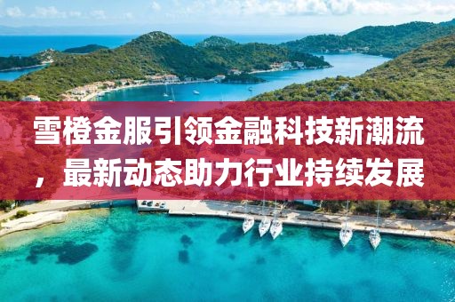 雪橙金服引领金融科技新潮流，最新动态助力行业持续发展