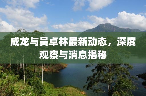 成龙与吴卓林最新动态，深度观察与消息揭秘