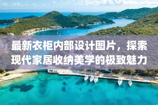 最新衣柜内部设计图片，探索现代家居收纳美学的极致魅力