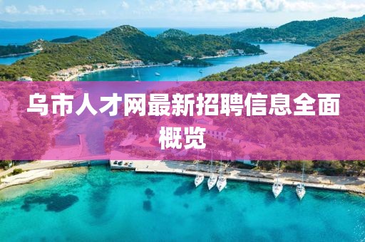 乌市人才网最新招聘信息全面概览