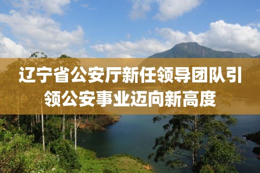 辽宁省公安厅新任领导团队引领公安事业迈向新高度