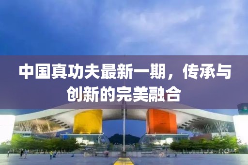 中国真功夫最新一期，传承与创新的完美融合