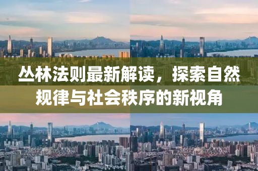 丛林法则最新解读，探索自然规律与社会秩序的新视角