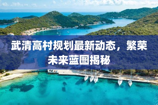 武清高村规划最新动态，繁荣未来蓝图揭秘
