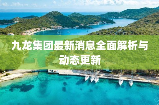 九龙集团最新消息全面解析与动态更新