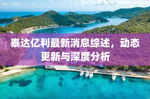 泰达亿利最新消息综述，动态更新与深度分析
