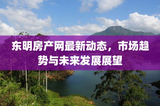 东明房产网最新动态，市场趋势与未来发展展望