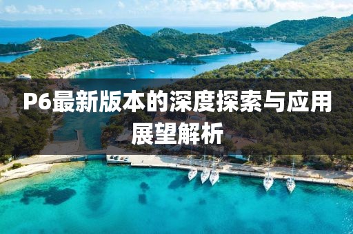 P6最新版本的深度探索与应用展望解析