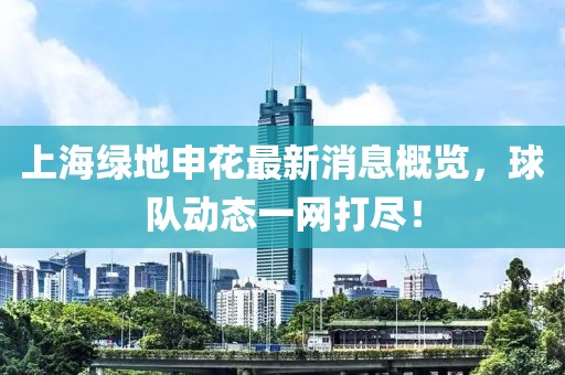 上海绿地申花最新消息概览，球队动态一网打尽！