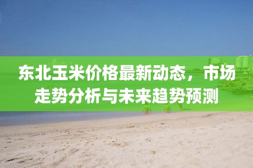 东北玉米价格最新动态，市场走势分析与未来趋势预测