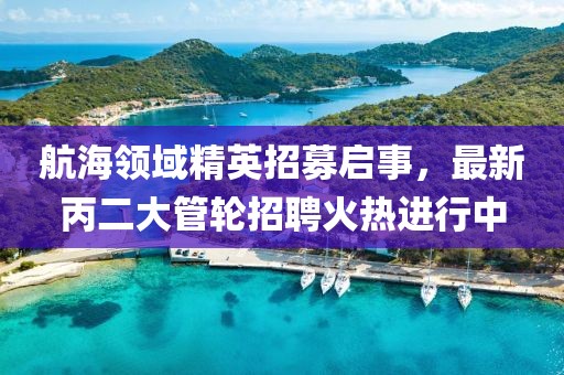 航海领域精英招募启事，最新丙二大管轮招聘火热进行中