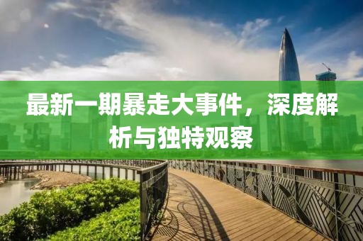 最新一期暴走大事件，深度解析与独特观察