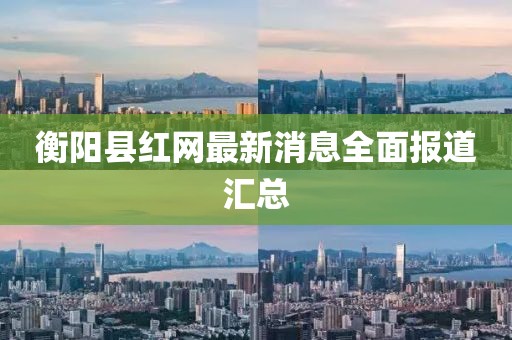 衡阳县红网最新消息全面报道汇总