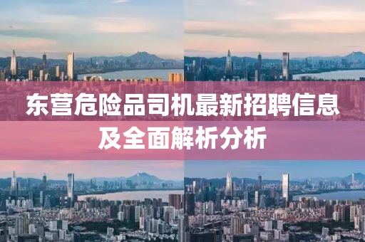 东营危险品司机最新招聘信息及全面解析分析