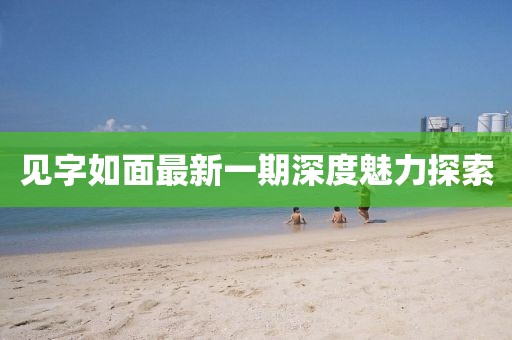 见字如面最新一期深度魅力探索