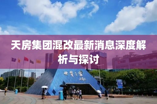 天房集团混改最新消息深度解析与探讨