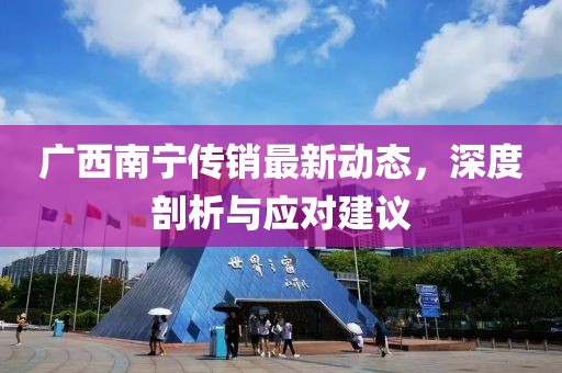 广西南宁传销最新动态，深度剖析与应对建议