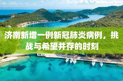 济南新增一例新冠肺炎病例，挑战与希望并存的时刻