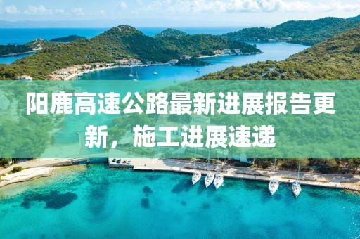 阳鹿高速公路最新进展报告更新，施工进展速递