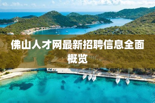 佛山人才网最新招聘信息全面概览