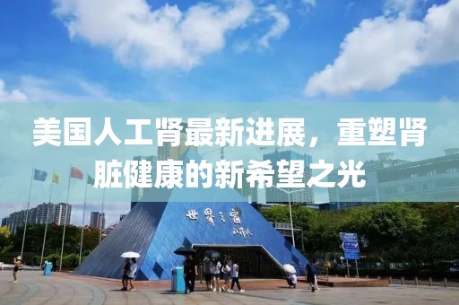 美国人工肾最新进展，重塑肾脏健康的新希望之光