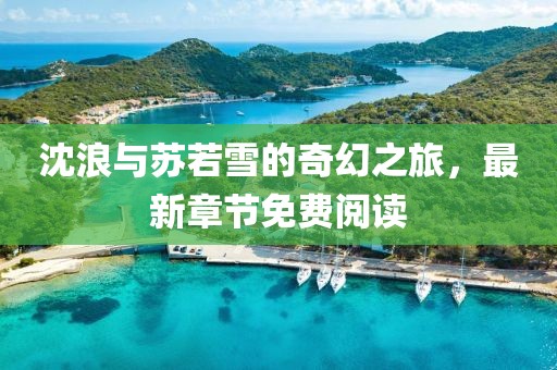 沈浪与苏若雪的奇幻之旅，最新章节免费阅读