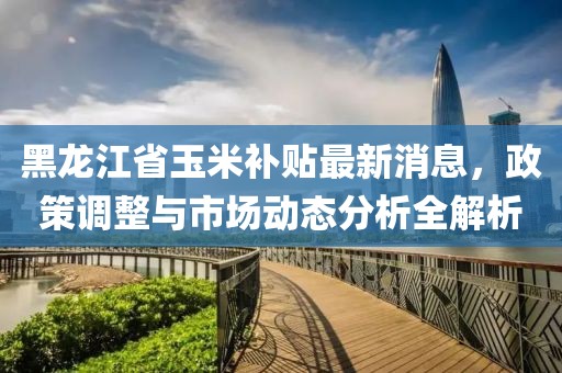 黑龙江省玉米补贴最新消息，政策调整与市场动态分析全解析