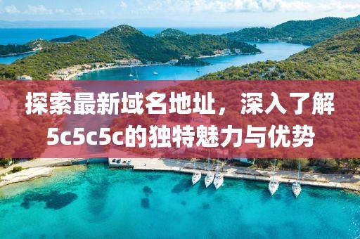 探索最新域名地址，深入了解5c5c5c的独特魅力与优势