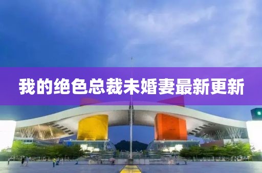 我的绝色总裁未婚妻最新更新