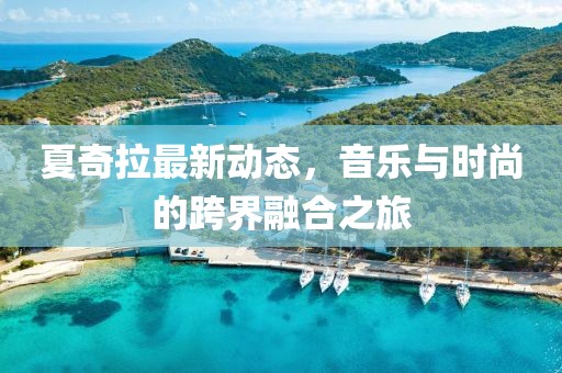 夏奇拉最新动态，音乐与时尚的跨界融合之旅