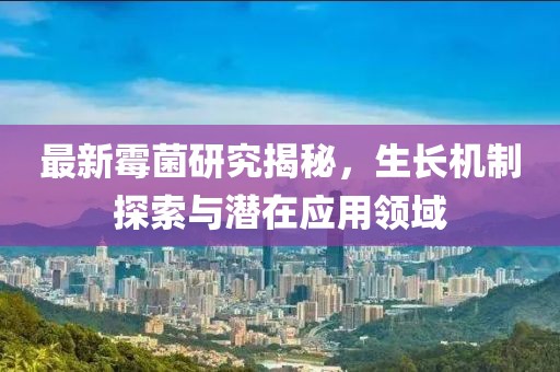 恍若 第2页