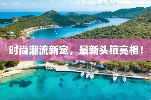 时尚潮流新宠，最新头箍亮相！