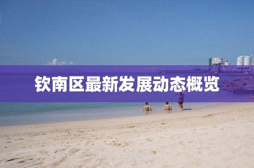钦南区最新发展动态概览