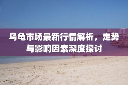 乌龟市场最新行情解析，走势与影响因素深度探讨