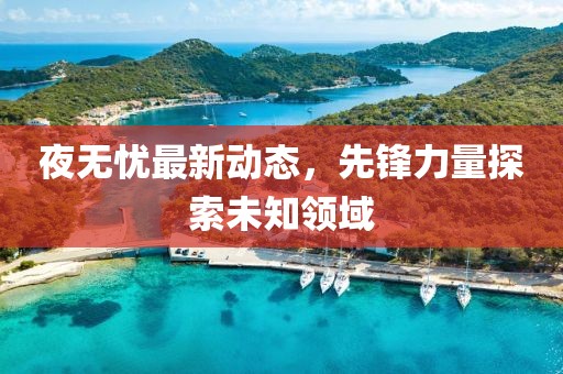 夜无忧最新动态，先锋力量探索未知领域