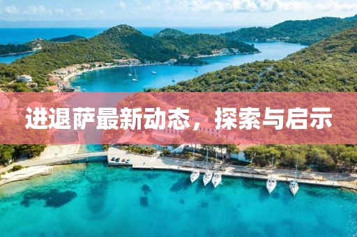 进退萨最新动态，探索与启示