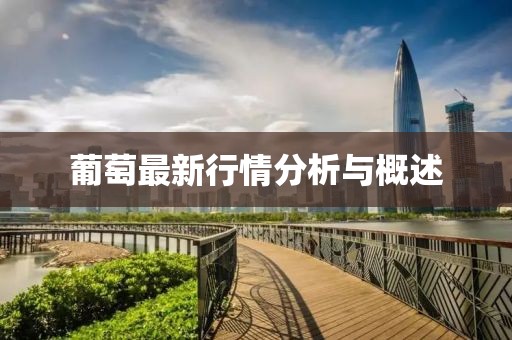 葡萄最新行情分析与概述